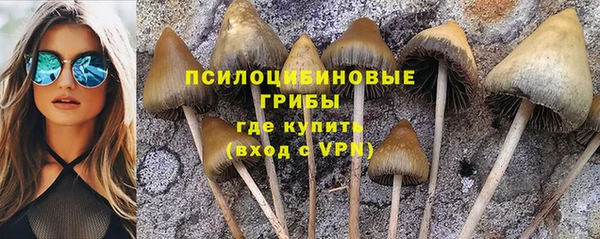 дурь Балахна